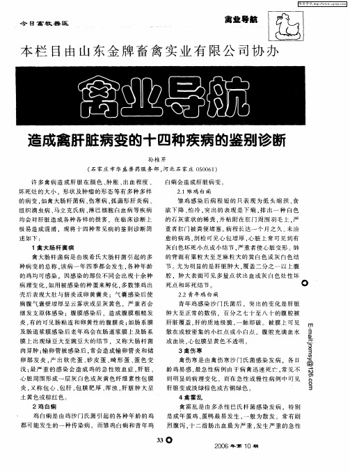 造成禽肝脏病变的十四种疾病的鉴别诊断