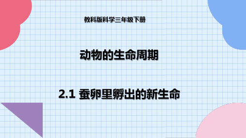 教科版科学三年级下册 2-1 蚕卵里孵出的新生命--课件