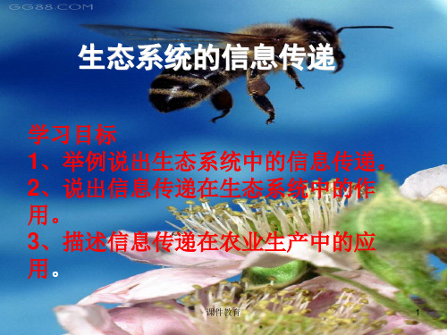 生态系统的信息传递(上课课件)