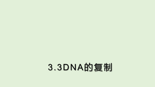 高中生物必修二《DNA的复制》PPT课件