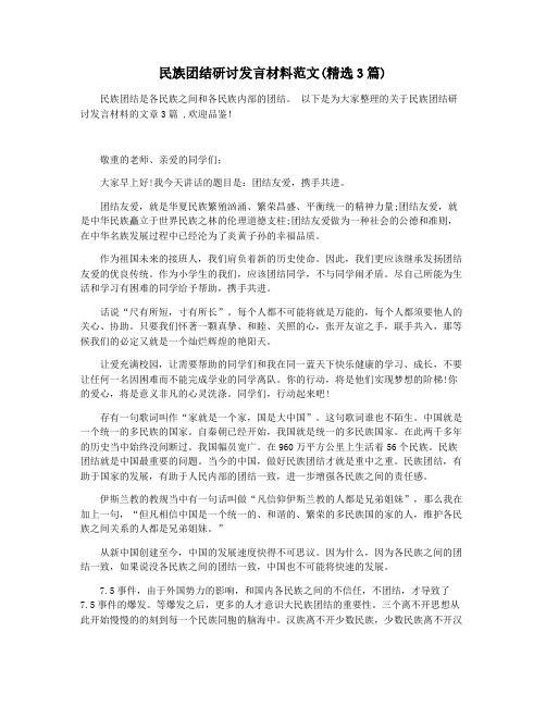 民族团结研讨发言材料范文(精选3篇)