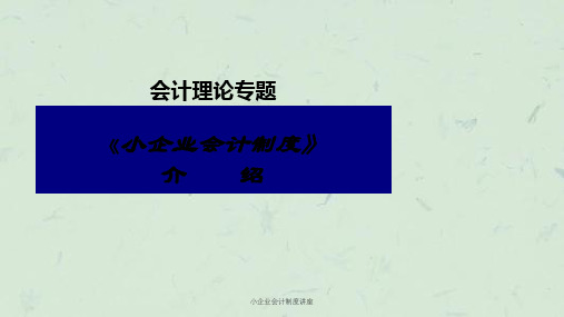 小企业会计制度讲座ppt课件