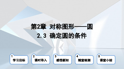 确定圆的条件课件苏科版数学九年级上册