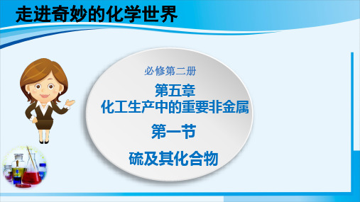 全国高中化学优质课一等奖人教版必修第二册《硫》精美课件