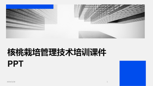 核桃栽培管理技术培训课件PPT-2024鲜版