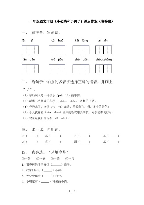 一年级语文下册《小公鸡和小鸭子》课后作业(带答案)