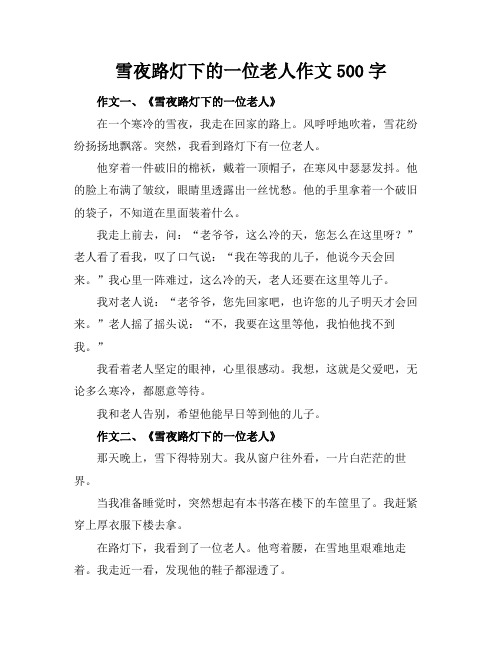 雪夜路灯下的一位老人作文500字