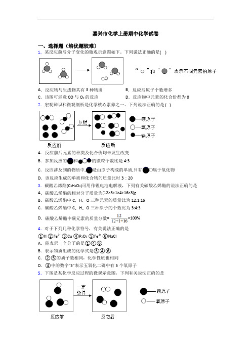 嘉兴市化学上册期中化学试卷