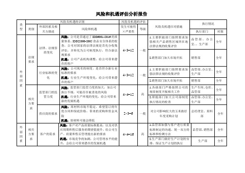 风险和机遇评估分析报告模版