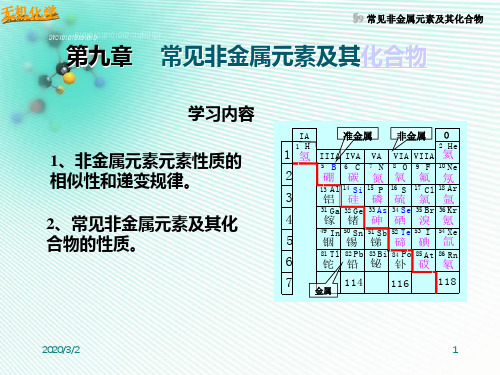 常见非金属元素及其化合物