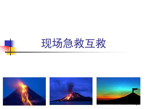 现场急救互救PPT课件