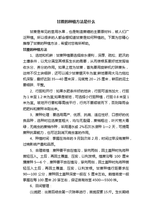 甘蔗的种植方法是什么