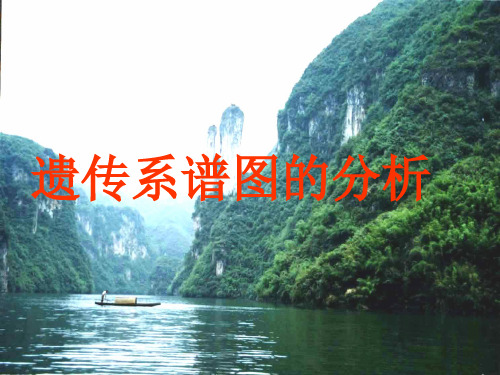 遗传系谱图的分析ppt课件