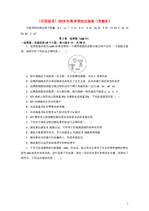 全国卷Ⅱ2019年高考理综压轴卷含解析20190514016