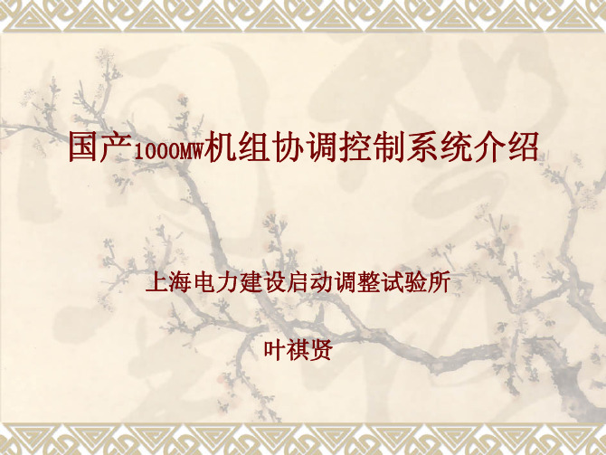 叶祺贤----国产1000MW机组协调控制系统介绍