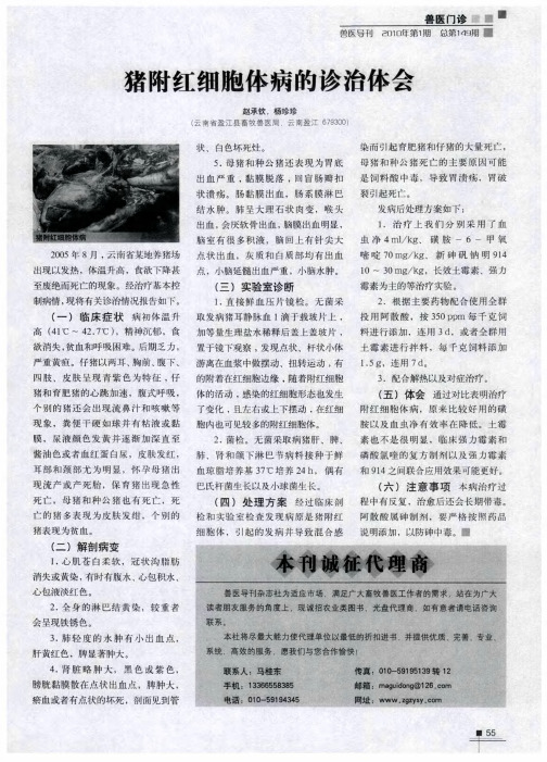 猪附红细胞体病的诊治体会