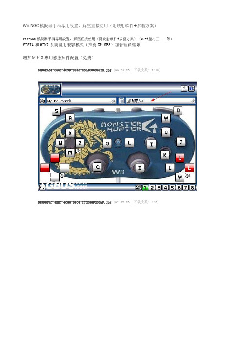 Wii-NGC模拟器手柄专用设置,解压直接使用(附映射软件+多套方案)