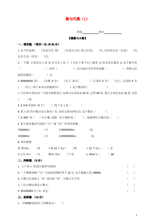 六年级数学下册知识点专项训练专题1数与代数1新人教版