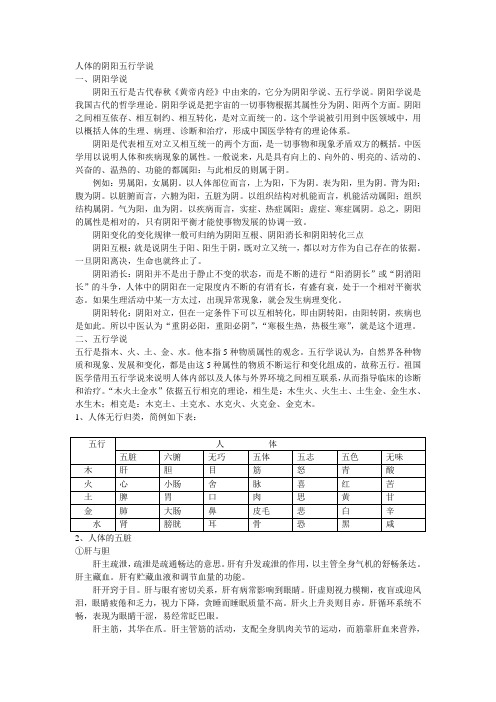 人体的阴阳五行学说