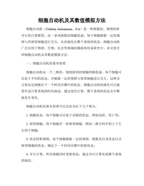 细胞自动机及其数值模拟方法