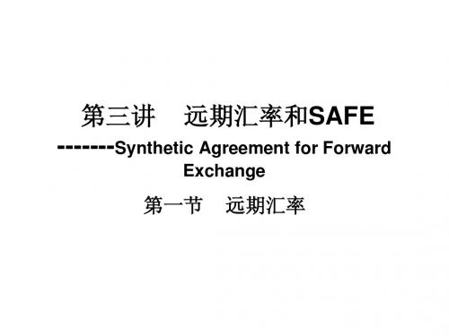 第三讲    远期汇率和SAFE