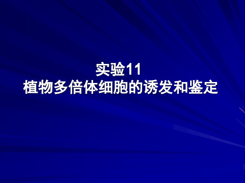 多倍体的诱发与鉴定