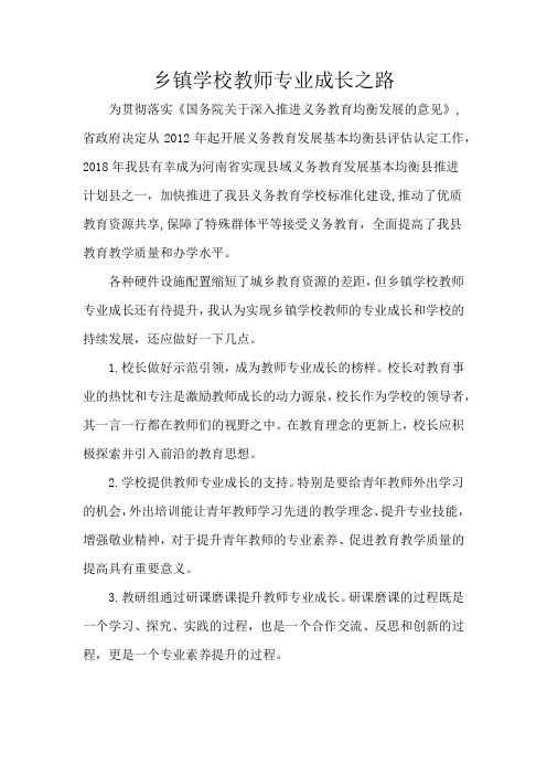 乡镇学校教师专业成长之路