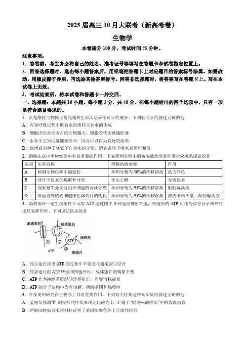 2025届高三10月大联考(新高考卷)生物试题