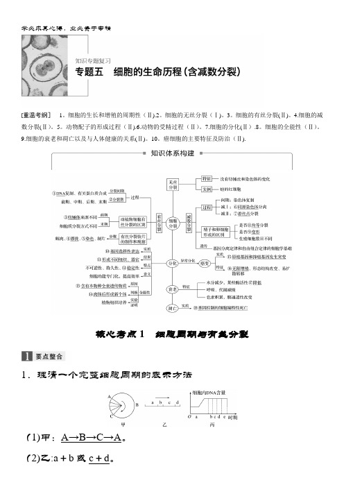 生物大二轮复习与增分策略：五 细胞的生命历程(含减数分裂)含解析