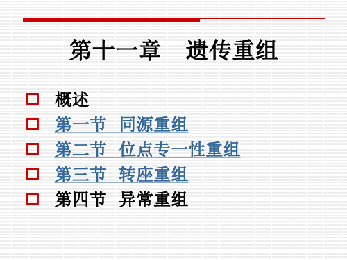 普通遗传学11第十一章遗传重组