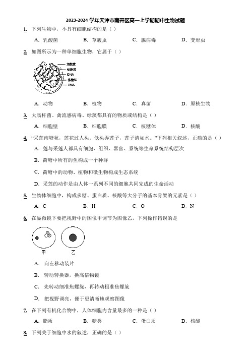 2023-2024学年天津市南开区高一上学期期中生物试题