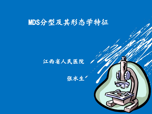 MDS分型及形态学特征