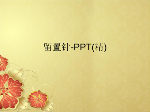 留置针-PPT(精).ppt