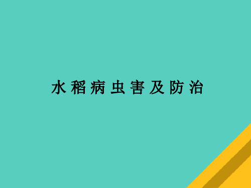 水稻病虫害及其防治措施(ppt 69页)