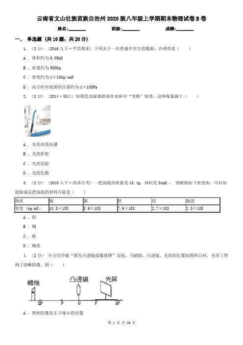云南省文山壮族苗族自治州2020版八年级上学期期末物理试卷B卷