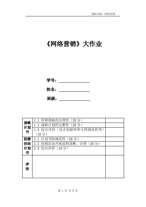 网络营销大作业及评分标准