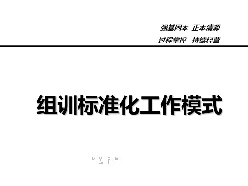 保险公司组训标准化工作模式干部培养类课件