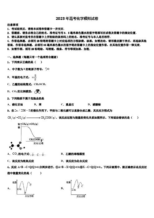 2022-2023学年陕师大附中高考冲刺模拟化学试题含解析