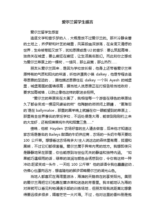 爱尔兰留学生感言