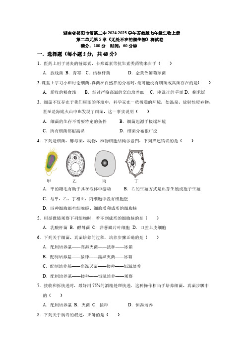 湖南省永州祁阳市浯溪第二中学2024-2025学年苏教版七年级生物上册第二单元测试卷