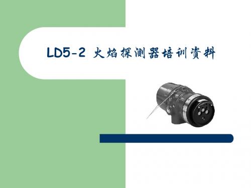 LD5-2火焰探头培训讲义