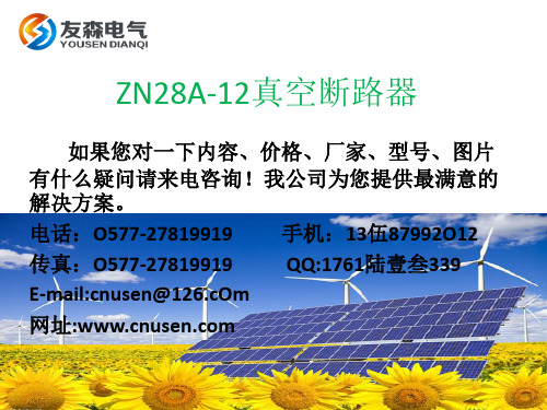 ZN28A-12真空断路器