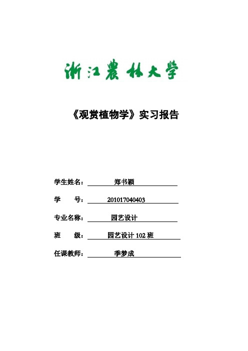 植物观赏学实践报告