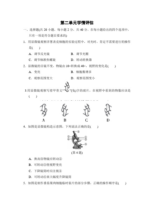 第二单元生物体的结构层次  单元测试 2022-2023学年人教版生物七年级上册