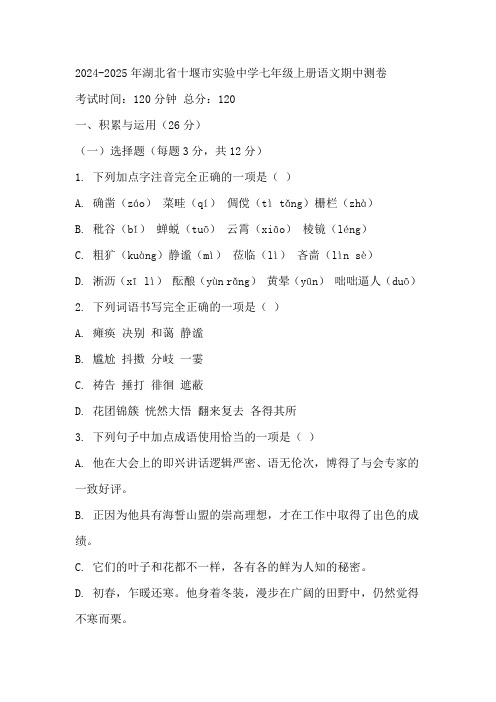 湖北省十堰市实验中学2024-2025学年七年级上学期期中考试语文试题(含答案)