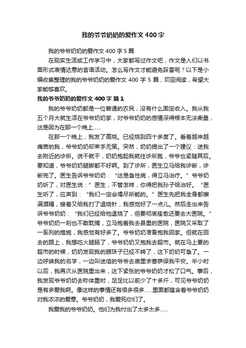 我的爷爷奶奶的爱作文400字5篇