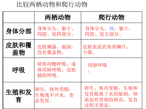 第六节  鸟