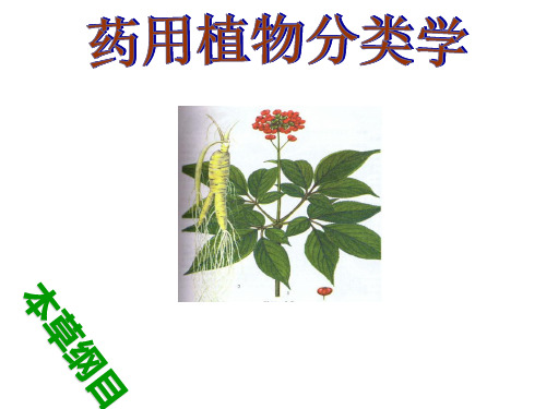 药用植物分类：第1章  绪  论