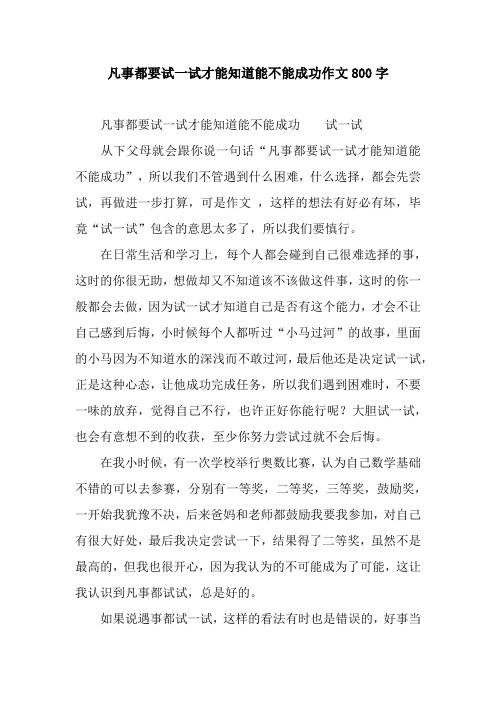 凡事都要试一试才能知道能不能成功作文800字