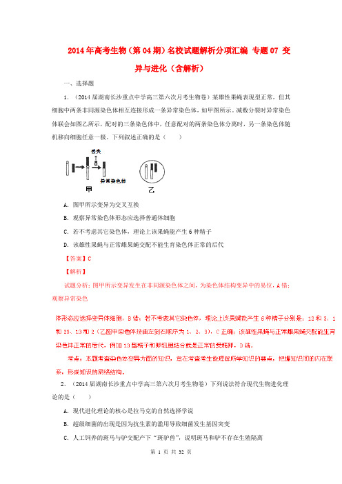 2014年高考生物(第04期)名校试题解析分项汇编 专题07 变异与进化(含解析)